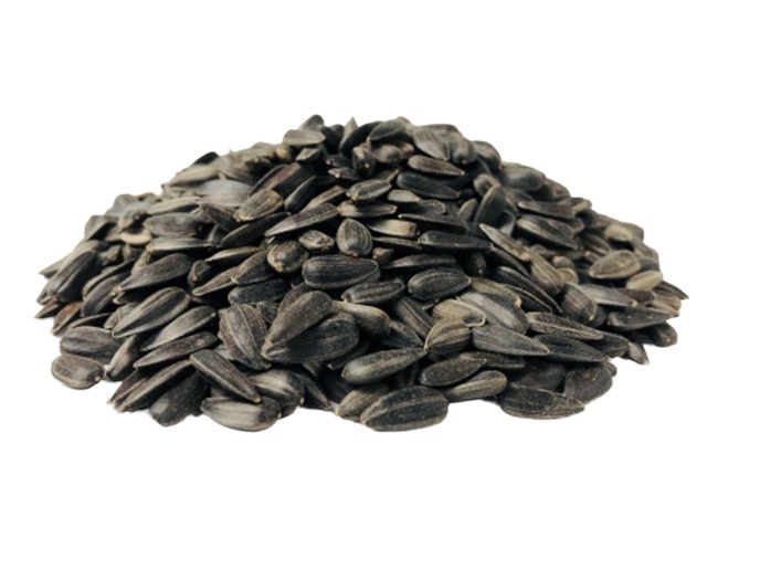 boss black oil sunflower seeds