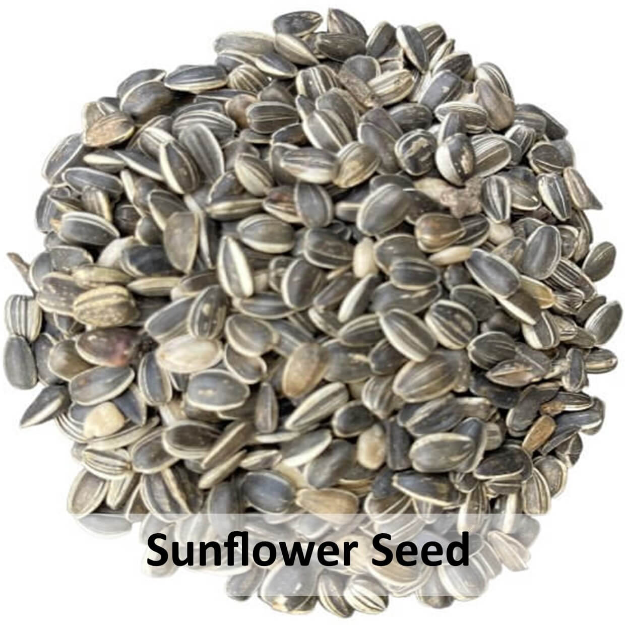 PROTEIN FOR LAYING HENS Yardlands