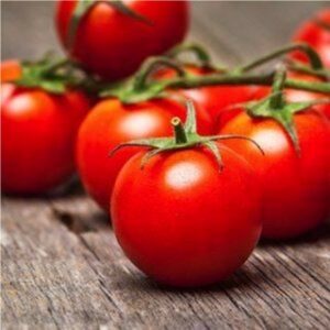 RUSSIAN RED TOMATO